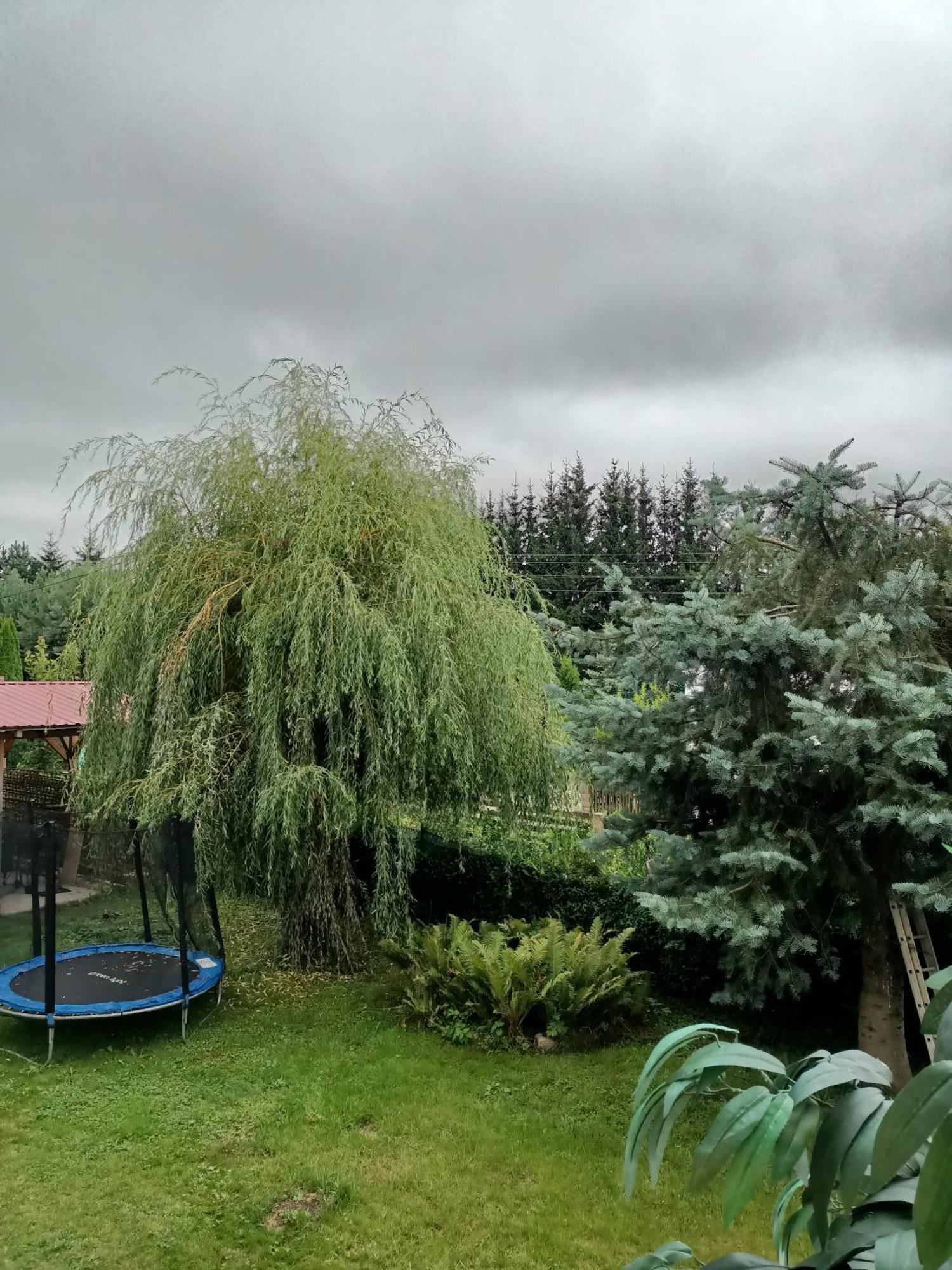 Apartmán U Zbyszka Kamienna Gora Pokoj fotografie